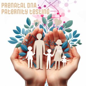 Prenatal DNA Paternity Testing