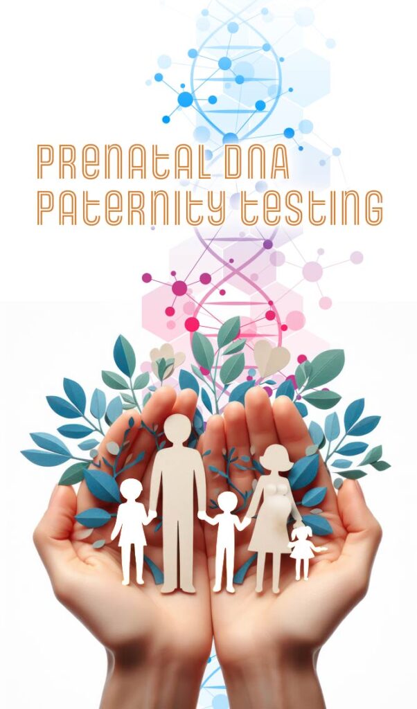 Prenatal DNA paternity testing